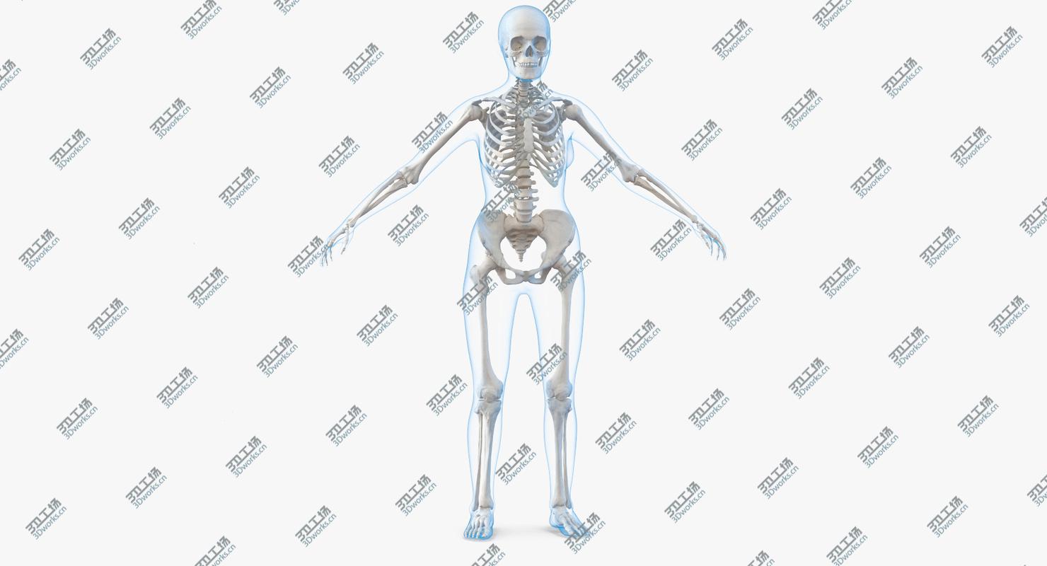 images/goods_img/20210319/Male  and Female Bodies with Skeletons Rigged Collection 3D/2.jpg